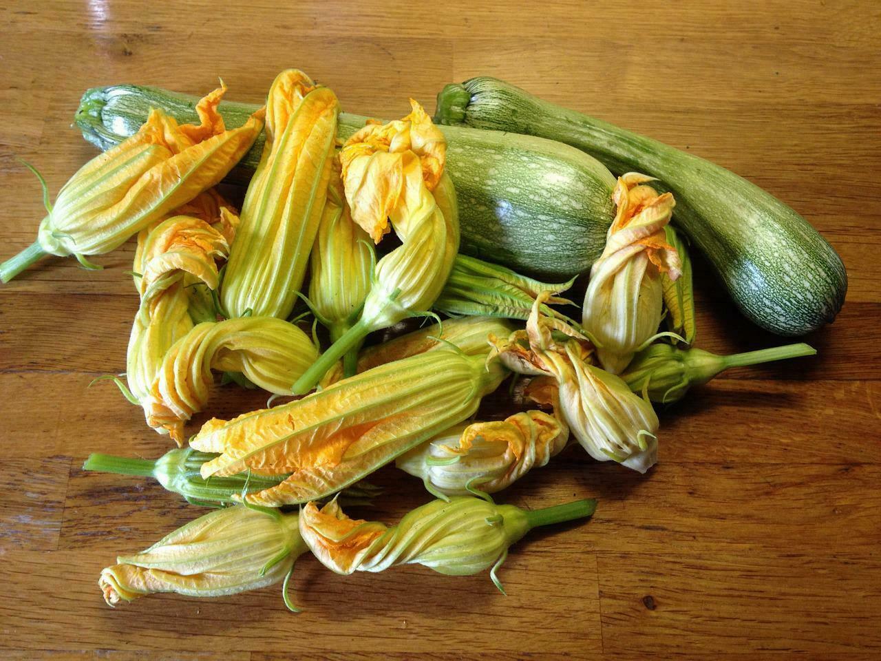 Rezept für Knusprige Zucchiniblüten Rezept für Knusprige Zucchiniblüten