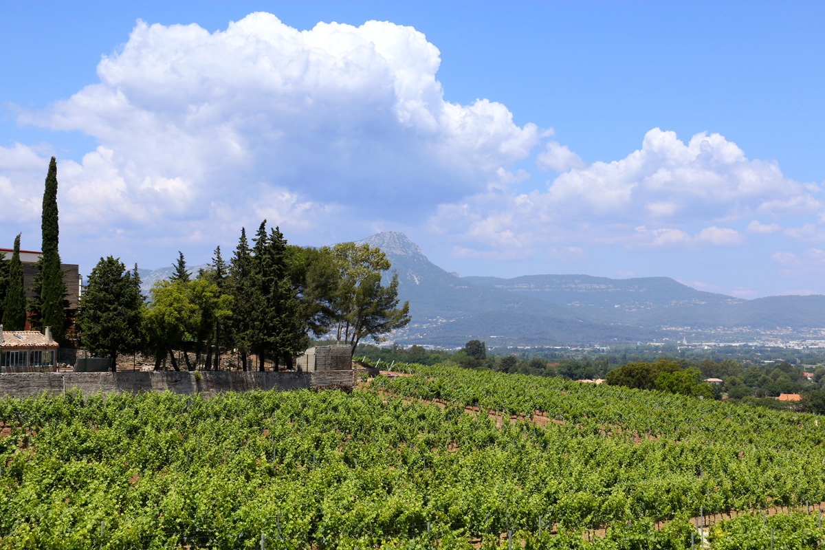 Urlaub auf dem Weingut in der Provence