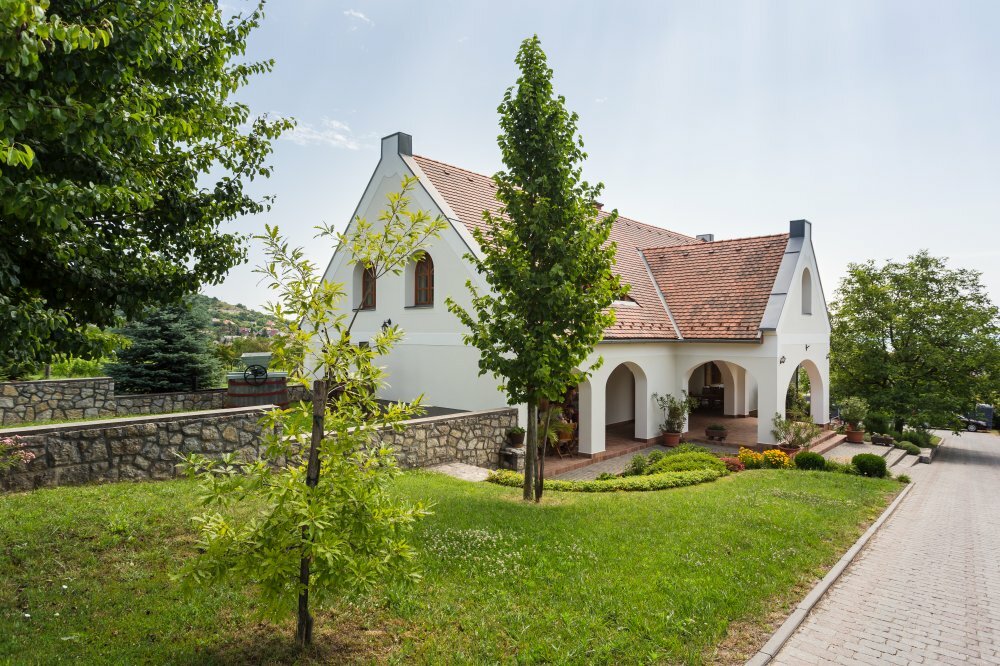 Weinreise in Ungarn - vom Reiseexperten in Tokaj, Eger und Am Plattensee unterwegs. 