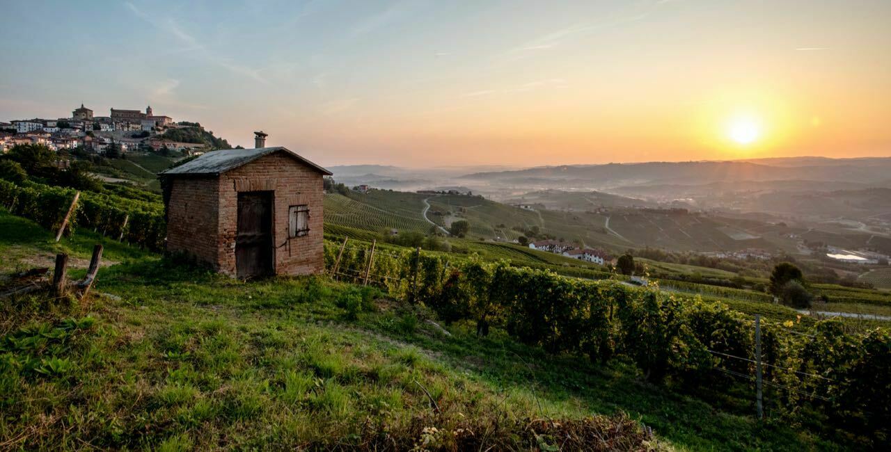 Trüffelreise im Piemont Trüffelreise im Piemont