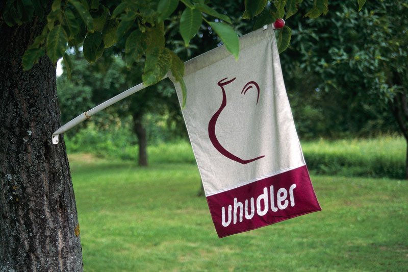Der Uhudler: Vom Haustrunk der Gesetzlosen zum Kultwein Der Uhudler: Vom Haustrunk der Gesetzlosen zum Kultwein